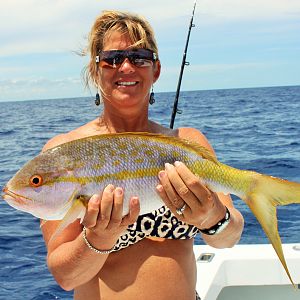 Yellowtail Snapper Fishing Florida Keys