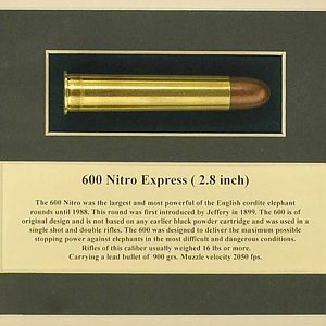 .600 NE with History Cartridge Board from African Sporting Creations