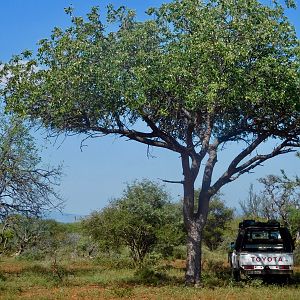 Hunting South Africa