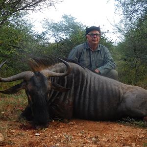 Hunt Blue Wildebeest in South Africa