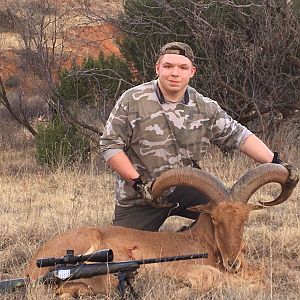 Aoudad Hunting Texas USA