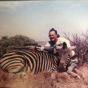 Hunt Burchell's Plain Zebra in South Africa