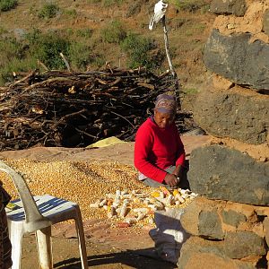 Lesotho