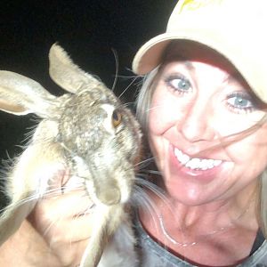 Texas USA Hunt Rabbit