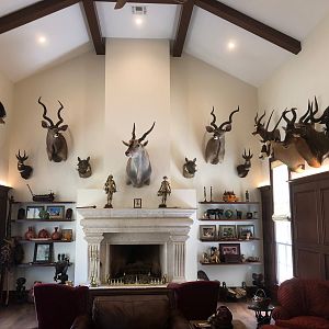 Trophy Room