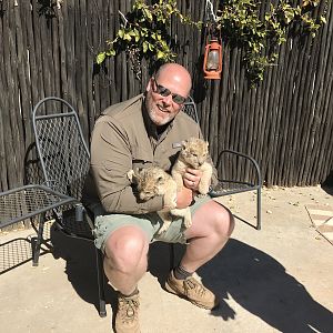 Lion Cubs South Africa