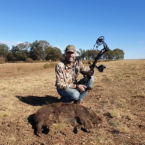 Bow Hunt European Wild Boar in South Africa