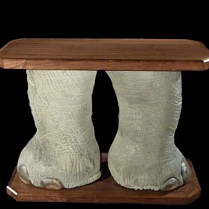 Elephant Foot Table