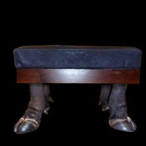 Cape Buffalo Foot Stool