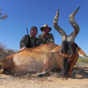 Red Hartebeest Hunt Namibia