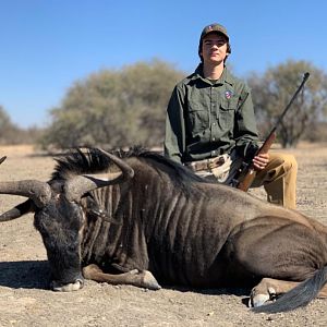 Hunt Blue Wildebeest in Namibia