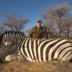 Burchell's Plain Zebra Hunting Namibia