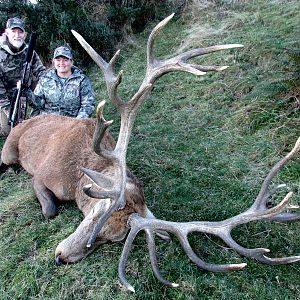 New Zealand Hunt Red Stag