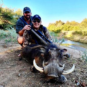 South Africa Hunt Warthog