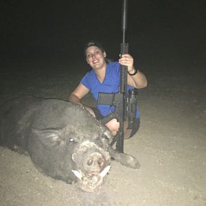 Texas USA Hunting Boar