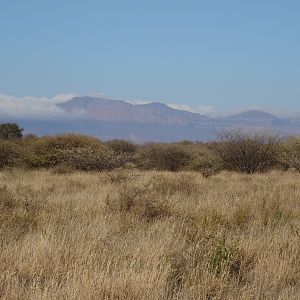 South Africa Hunting Area