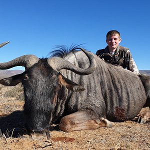 Hunting Blue WIldebeest in South Africa