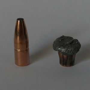 270grs A-Frame Bullet Performance