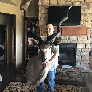 Kudu Shoulder Mount Taxidermy