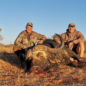 Cape Buffalo Hunting South Africa