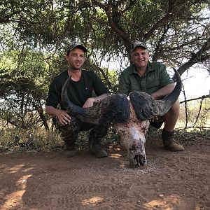 Cape Buffalo Hunt South Africa