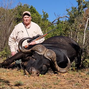 Buffalo Hunting South Africa