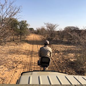 Hunting Lion in South Africa