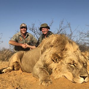 South Africa Hunting Lion