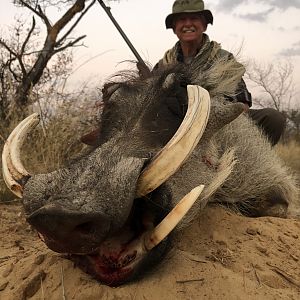 South Africa Hunting Warthog