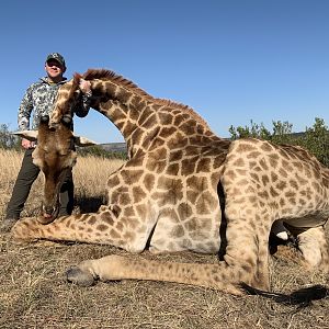 South Africa Hunting Giraffe