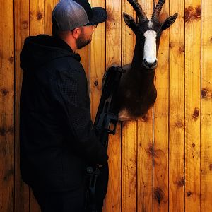 Blesbok Shoulder Mount Taxidermy