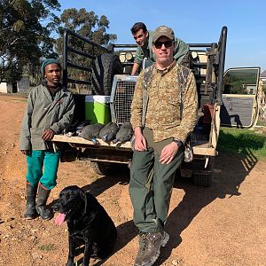 Guineafowl Hunting South Africa