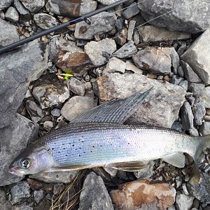 British Colombia Canada Fishing