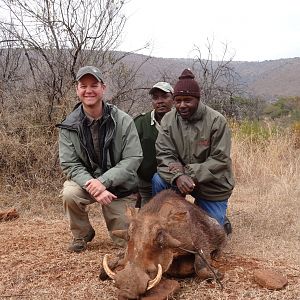 South Africa Hunt Warthog