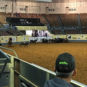 AQHA youth World Finals