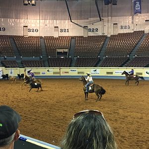 AQHA youth World Finals