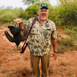 Hunt Guineafowl in South Africa