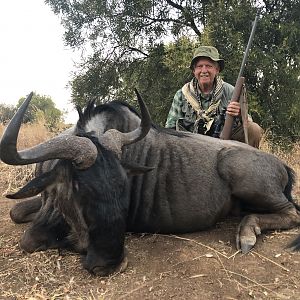 Blue Wildebeest Hunt South Africa