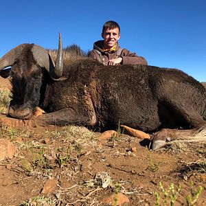 South Africa Hunting Black Wildebeest