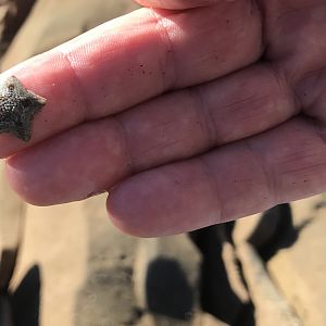 Mossel Bay Tidal pools in South Africa