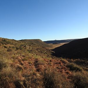 South Africa Vaal Rhebok Hunting Area