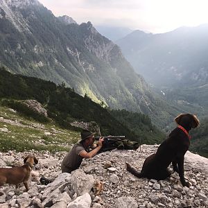 Hunting Chamois in Germany