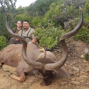 Hunt Kudu in South Africa