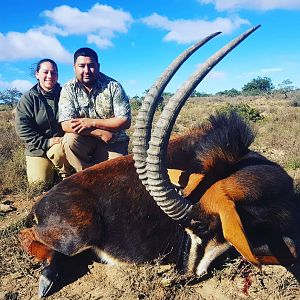 Hunting Sable Antelope in South Africa