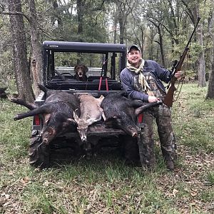 Texas USA Hunting Boars & Deer