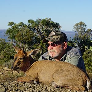 Hunt Duiker in South Africa