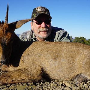 Duiker Hunting South Africa