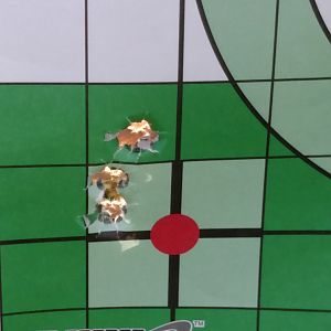 Ruger No.1 Rifle in .375 H&H Range Shots