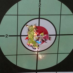 Ruger No.1 Rifle in .375 H&H Range Shots