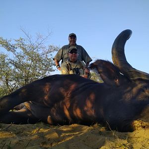 Hunting 37.5" Inch Buffalo in South Africa